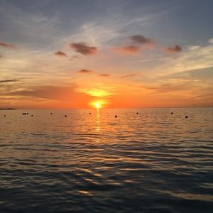 Meet your Posher, Tracey